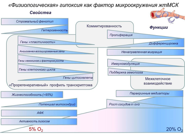 13 января 2021 года состоялось очередное заседание Президиума Российской академии наук