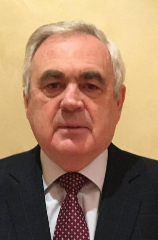 Володин Николай Николаевич