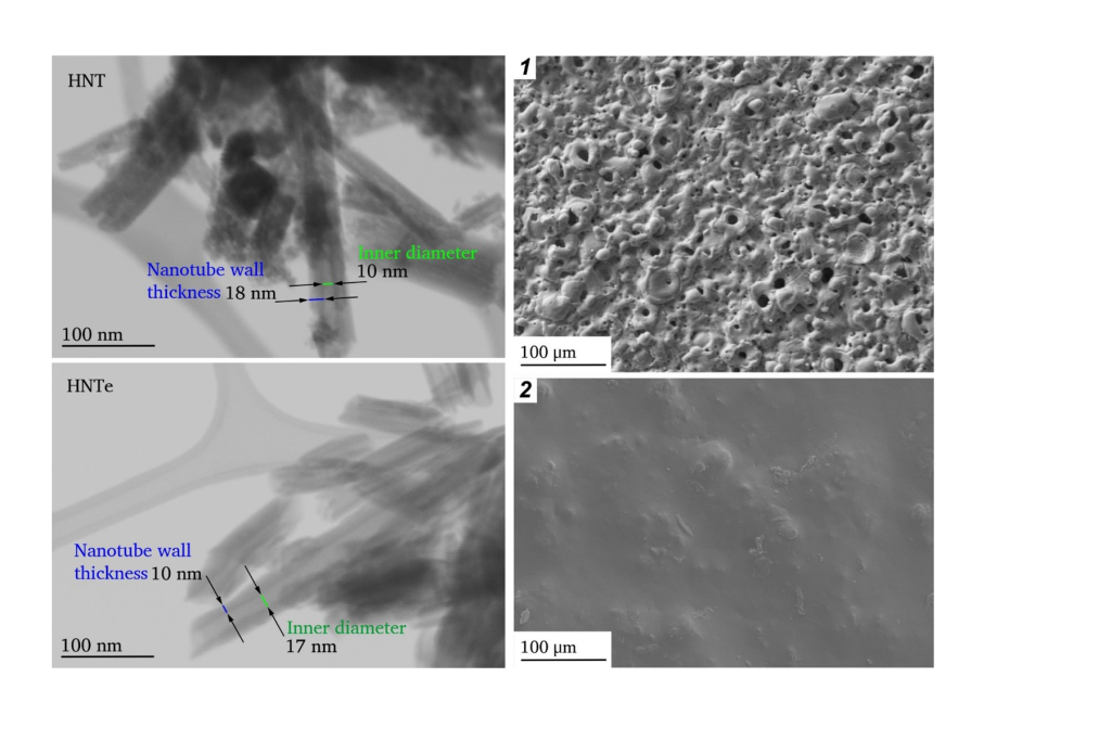 Содержащее минеральные нанотрубки покрытие повысит срок службы биоразлагаемых имплантатов