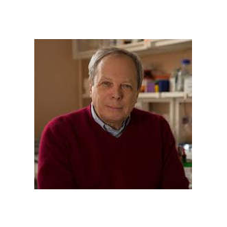 Академик Макаров Александр Александрович