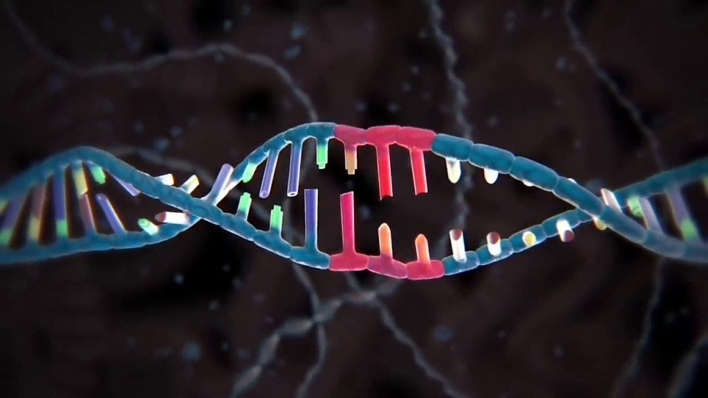Учёные исследовали механизмы поиска повреждений ДНК разными белками