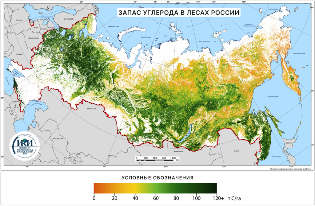 Запас углерода в лесах России, 2021 г. Данные ИАС «Углерод-Э».
