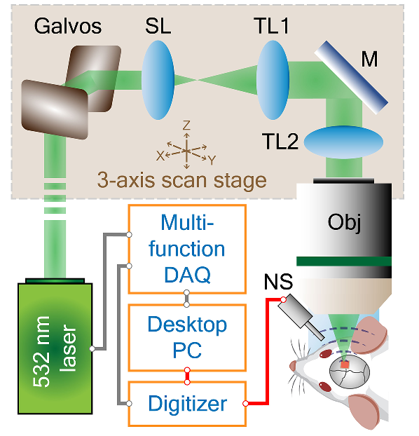 Система оптоакустической микроскопии с интегрированным игольчатым датчиком