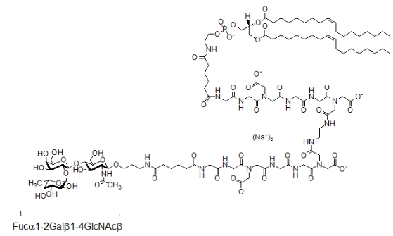 Галектин-9 как потенциальный модулятор адгезии лимфоцитов к эндотелию