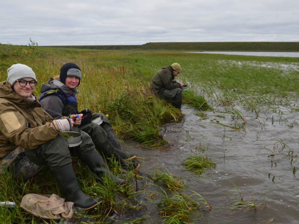  Молодые учёные Лавёровского центра разбирают пробы на озере Сетте-Тала в бассейне реки Индигирка, Якутия