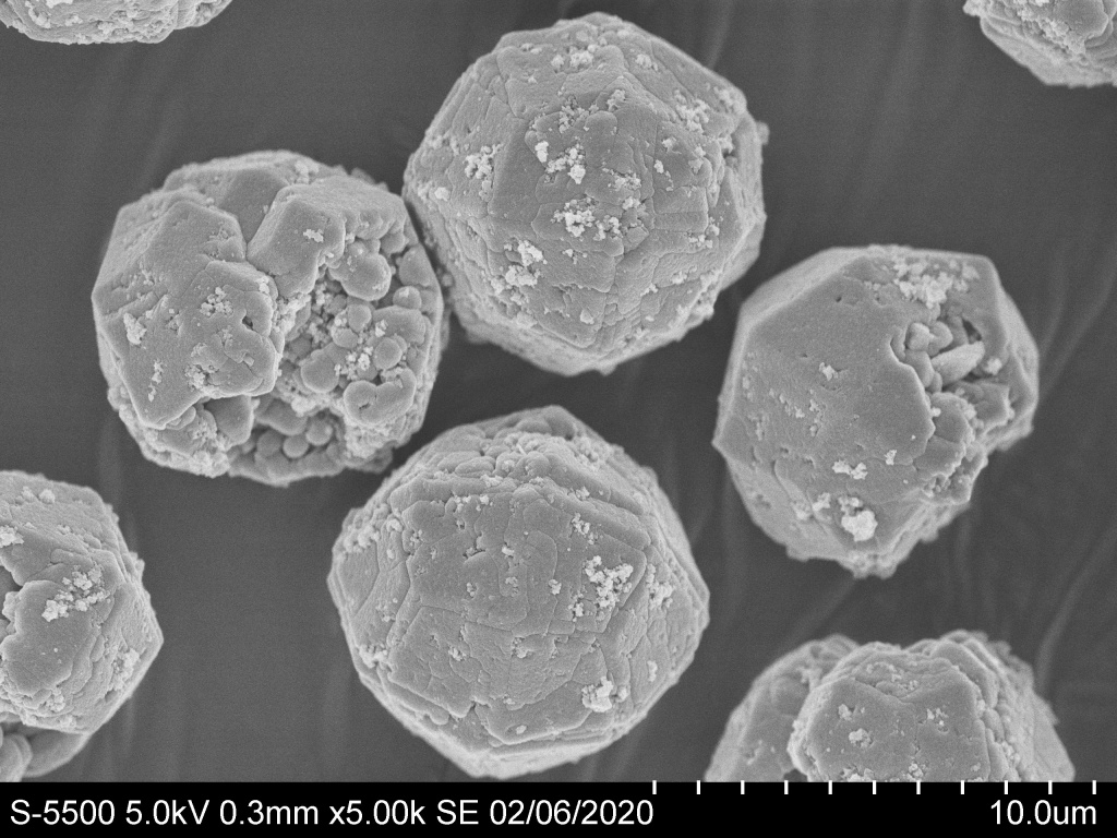Цирконий-анальцимовые сферолиты. Изображение со сканирующего электронного микроскопа получено в ЦКП КНЦ СО РАН.