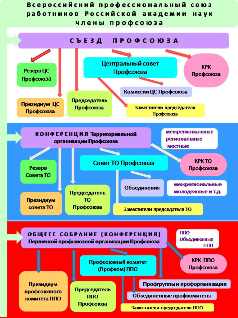 Структура Профсоюза работников РАН, 2023 г.