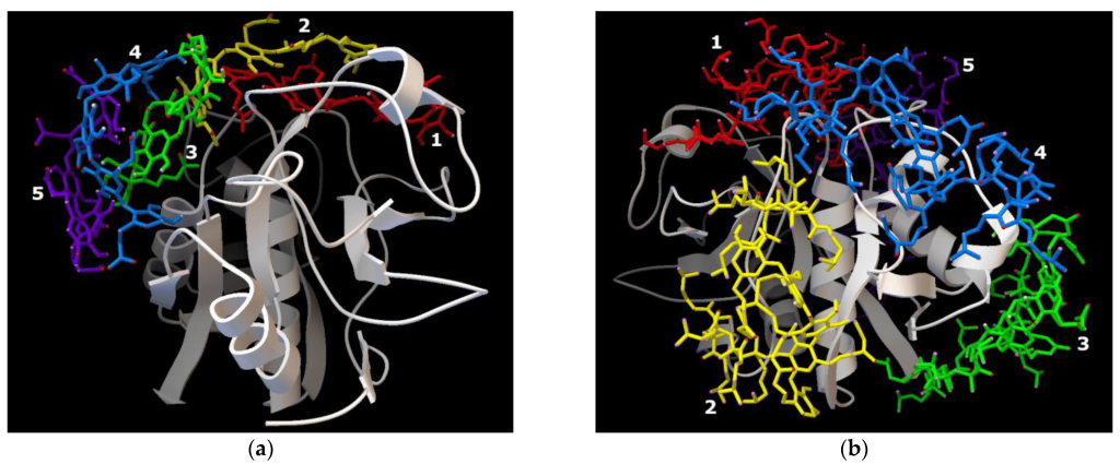  Фицин связался с полимером и улучшил свои свойства