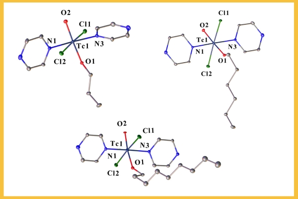 Молекулярная структура полученных соединений