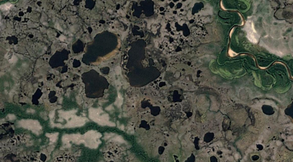 Тундровые озёра Западной Сибири
