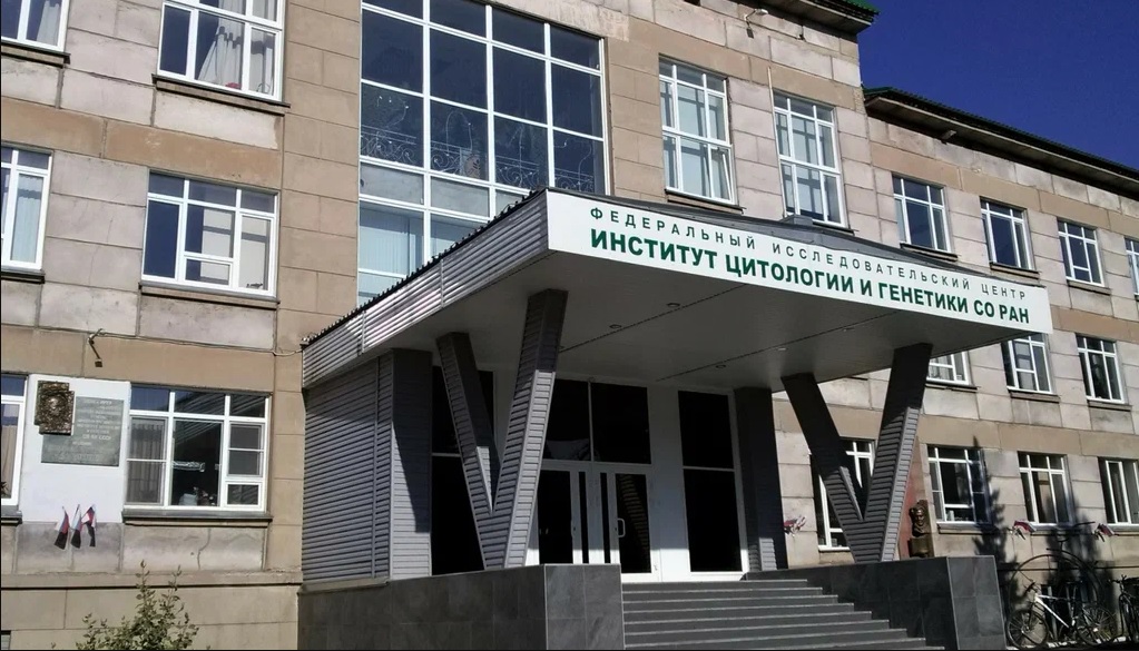  Создана база знаний о генах терморегуляции человека