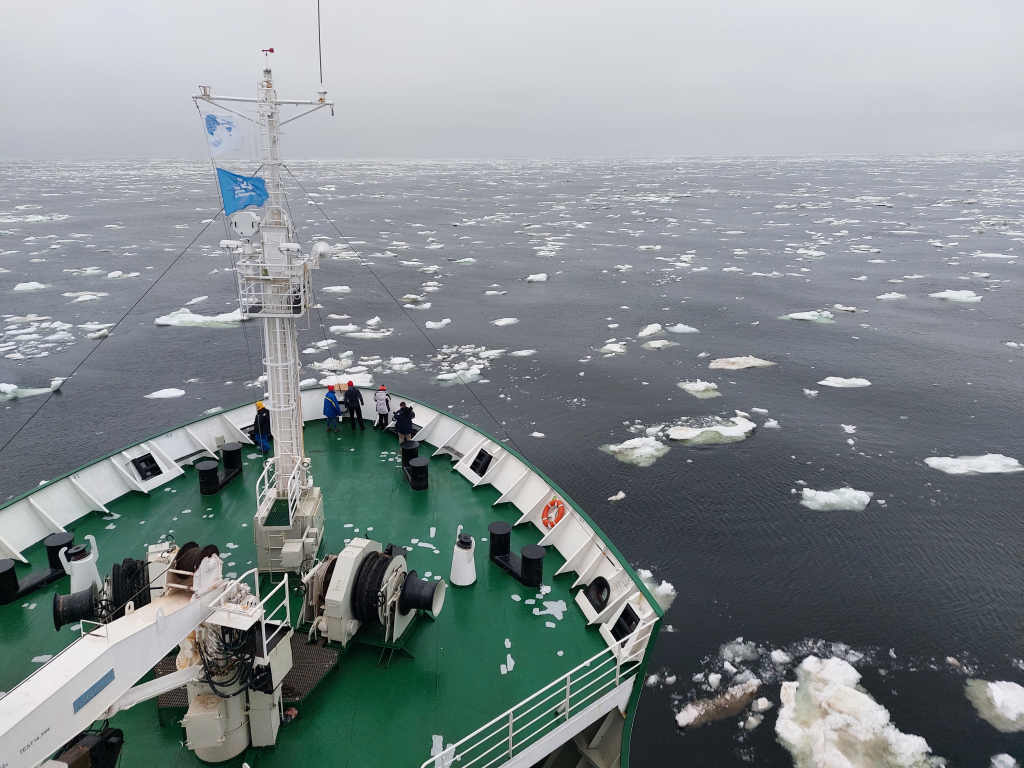  Исследовано влияние океанических вихрей на положение кромки морского льда в Гренландском море