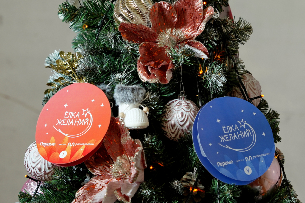 Члены РАН исполнят мечты детей в рамках акции «Ёлка желаний»