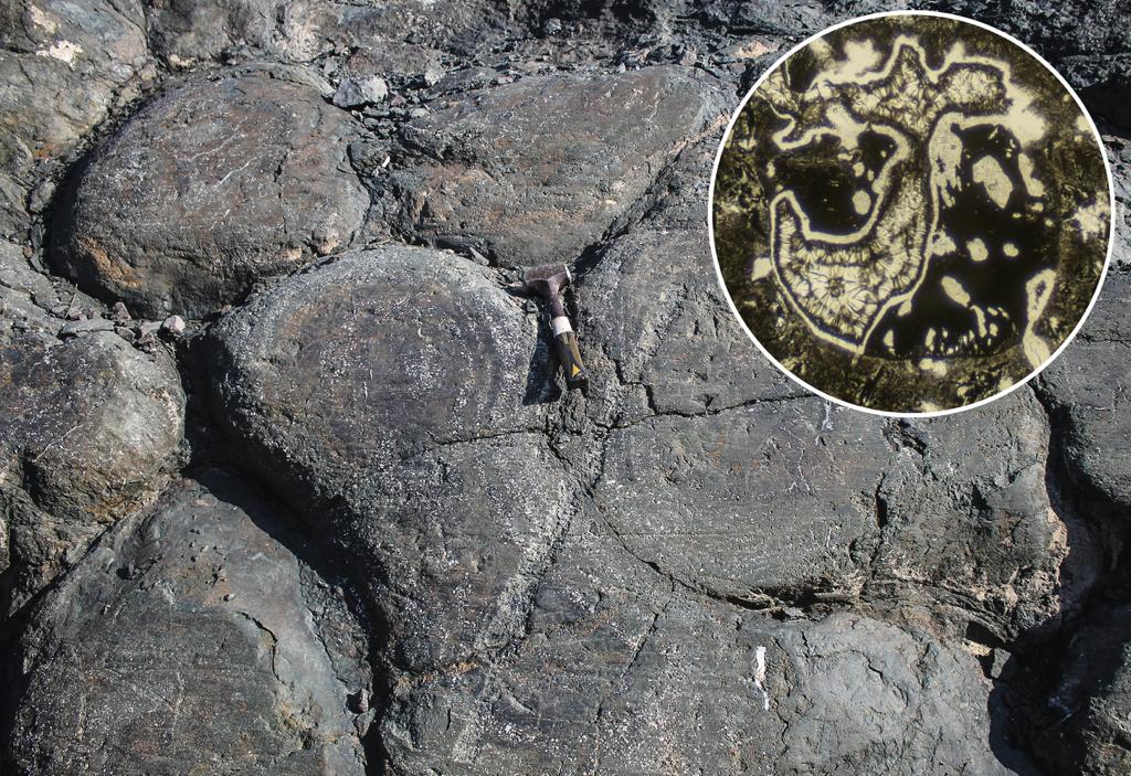Следы древней нефти обнаружены в ялгубских лавах Прионежья