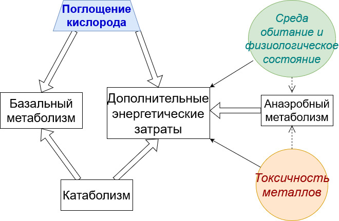 Рисунок 2. Общая схема потоков энергии и влияющих условий (круги)