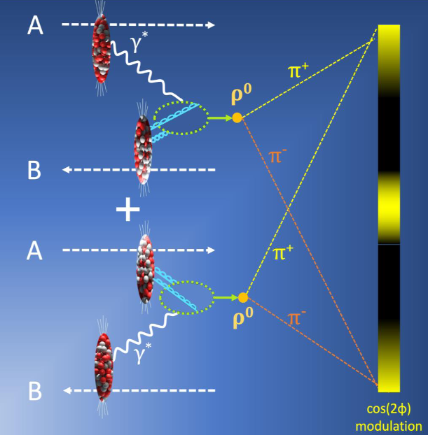 Рис.1. Схематическое изображение двух интерферирующих амплитуд при фоторождении ρ0-мезонов в ультрапериферических взаимодействиях двух ядер