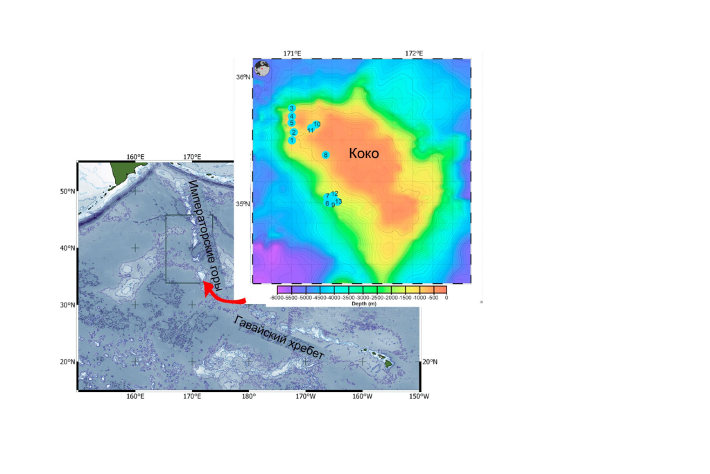 Получены первые данные о трофической экологии глубоководных кораллов в северо-западной части Тихого океана