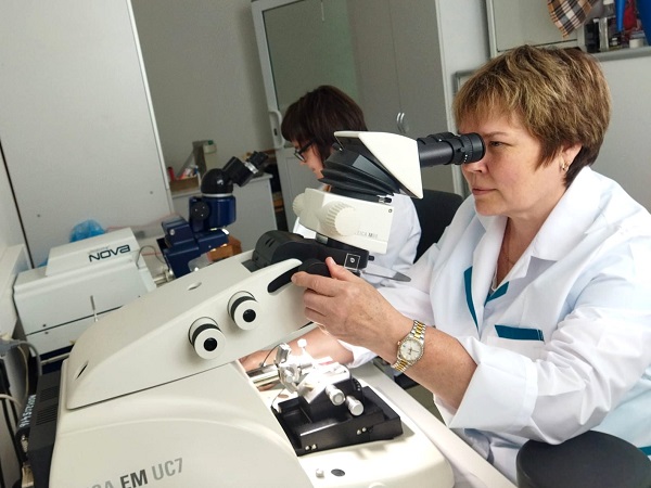 В Новосибирске под электронным микроскопом исследуют ткани древнего мамонта