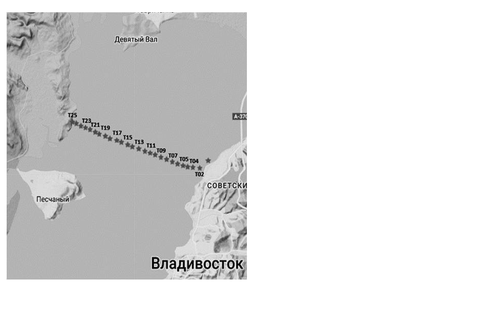 Создан стационарный пункт наблюдений «Амурский залив»