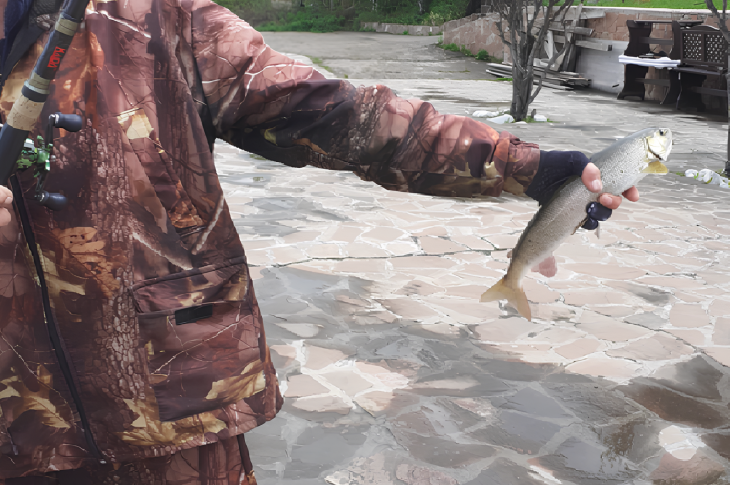 Хариус, пойманный в истоке Ангары. Такая рыба встречается только в чистой воде