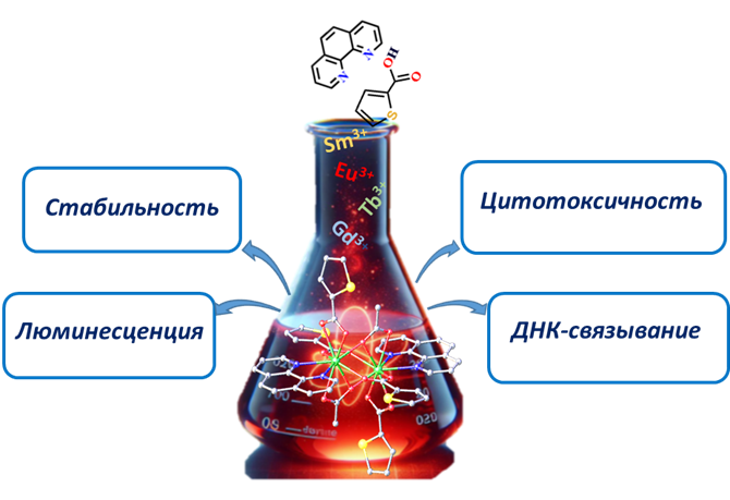 Полученные новые комплексы лантаноидов проявляют яркую люминесценцию, обладают селективной цитотоксичностью, стабильны в водных растворах и связываются с ДНК посредством интеркаляции