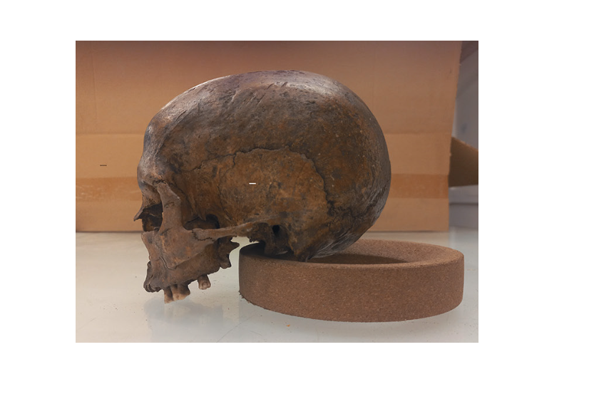 Проведено первое генетическое исследование населения средневековой Старой Рязани