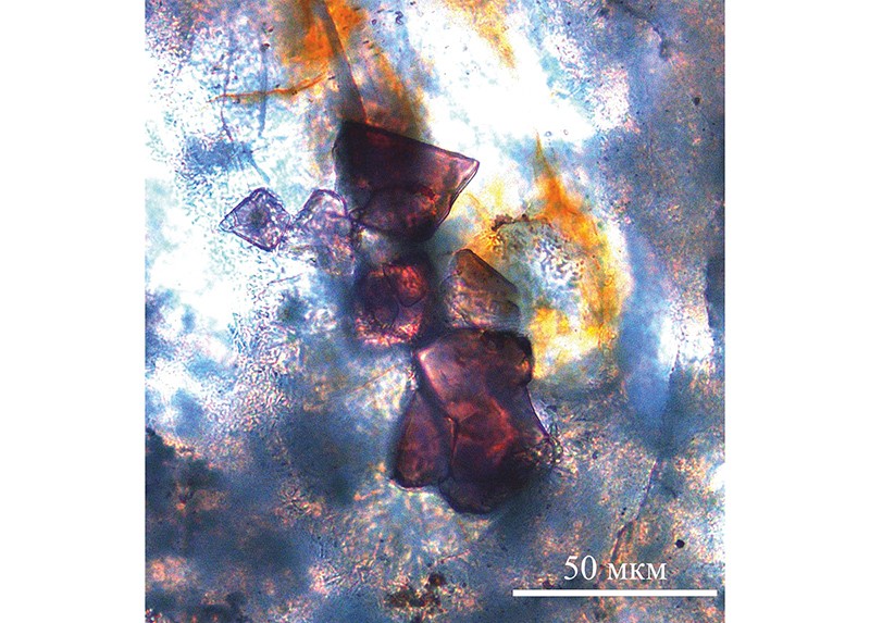 Скопление кристаллов розовой шпинели в зерне оливина в лунном метеорите Dhofar 311: изображения в проходящем свете. Spl — шпинель, Ol — оливин