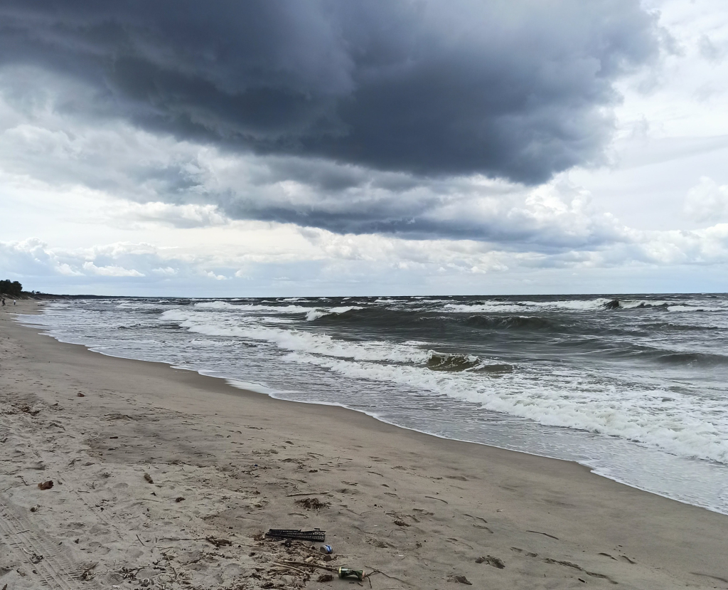 Участок исследованного побережья