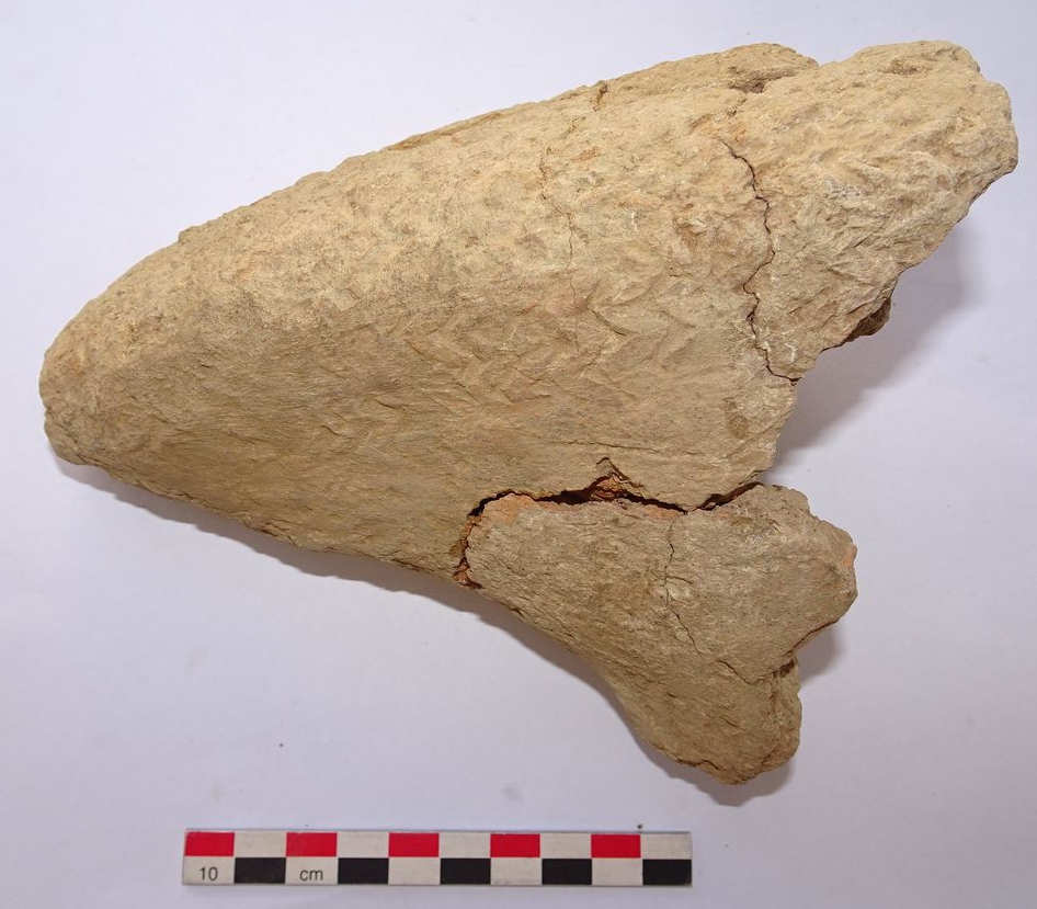 Фрагмент глиняной ножки стола из шурфа 2 на поселении Тукра Дасса 2.