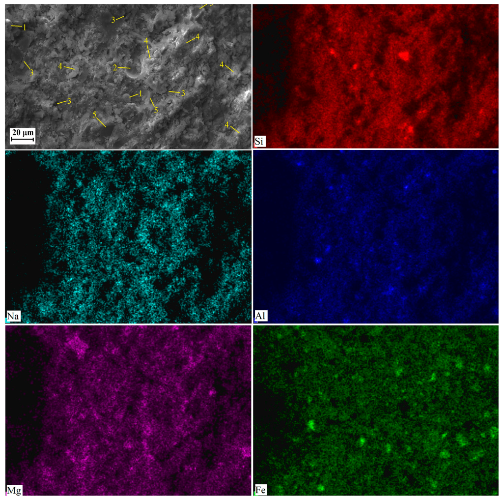 Карты распределения элементов, полученные для образца AACNS-80 (80% шлака, 20% золы уноса). 1 — непрореагировавшие или частично прореагировавшие частицы золы-уноса; 2 — полости, образованные воздухом, попавшим в пасту; 3 — трещины и пустоты; 4 — гель; 5 — непрореагировавшие или частично прореагировавшие частицы шлака