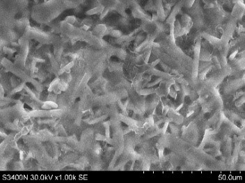 На фотографии, сделанной на сканирующем электронном микроскопе, показана поверхность одного из образцов новой керамики. Одно деление шкалы в нижней части рисунка – 5 микрон.