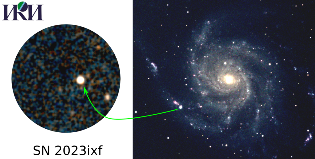 Изображение поля сверхновой SN 2023ixf в галактике М101, полученное телескопом ART-XC Им. М. Н. Павлинского (слева), диаметр поля — около тридцати минут дуги. Другие видимые в поле источники — ультраяркие рентгеновские двойные в М101 и активные галактики поля. Справа — оптическое изображение, полученное сотрудником ИКИ РАН А.Л. Ясковичем в любительский телескоп. Изображение: ИКИ РАН.