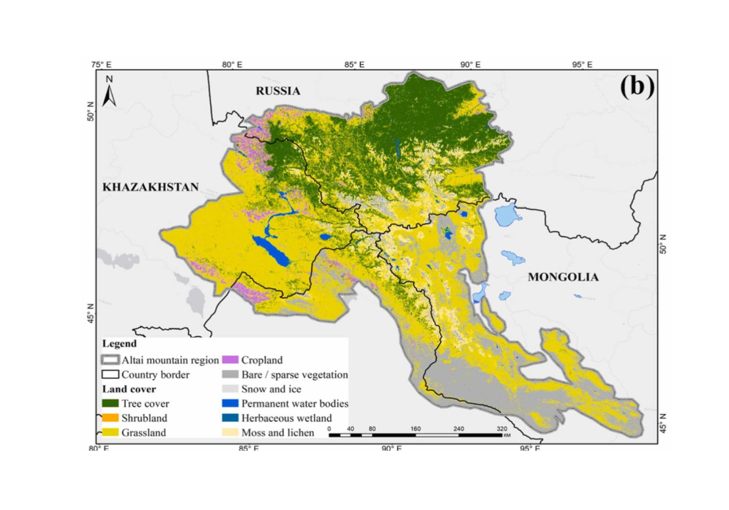 Девяносто процентов эндемичных растений Алтайской горной страны находятся под угрозой исчезновения