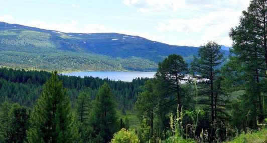 Выполнена реконструкция растительности и климата Улаганского плато Горного Алтая