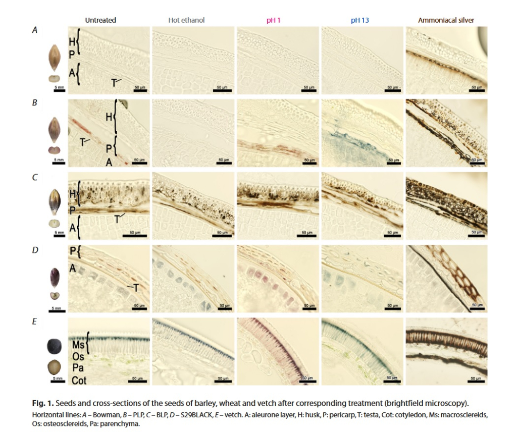  «Свежий номер»: Новый тест для селекционеров