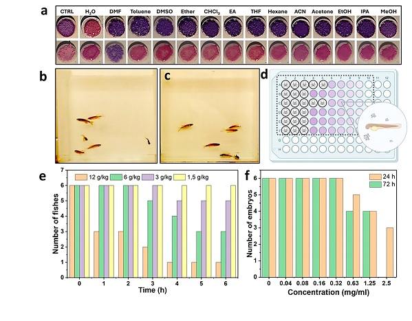 Биосовместимый MOF для измерения влажности. (а) Тест на чувствительность MOFs 2 (розовый порошок) и 3 (фиолетовый порошок) к различным растворителям. (b) Поведенческая реакция рыбок данио-рерио на внутрижелудочное введение различных доз MOF через 3 ч. После инъекции в дозе 1,5 г/кг. (c) При введении дозы 6 г/кг рыба ложится на дно камеры. (e) Тест на выживаемость взрослых рыбок данио-рерио после внутрижелудочного введения MOF: введение различных доз MOF от 1,5 до 12 г/кг приводило к различным уровням выживаемости рыб в течение 6 часов. (d) Инкубация эмбрионов рыбок-рерио в планшете с градиентом MOF приводила к различной выживаемости эмбрионов с (f) её динамикой во время инкубации в течение 24 и 72 часов