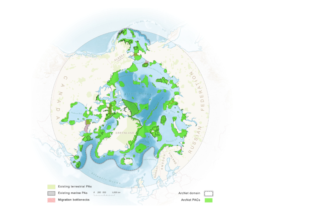 Предложена сеть для охраны морских акваторий в Арктике