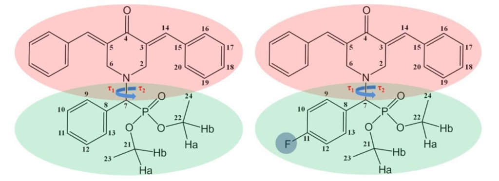Структуры молекул исследуемых соединений — синтетических аналогов куркумина без фтора (слева) и с добавлением этого элемента (справа). Источник: Илья Ходов.