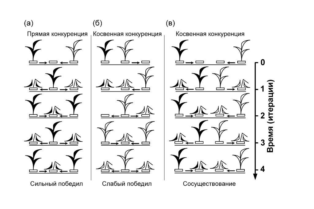 Полностью прозрачный искусственный интеллект типа «стеклянный ящик» открывает новые механизмы конкуренции