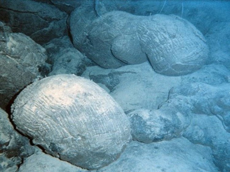 Рис. 2. Подушечные базальты (пиллоу-лавы), излившиеся в рифтовой долине Срединно-Атлантического хребта.