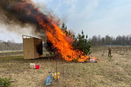 Разработана методика раннего обнаружения  лесных пожаров