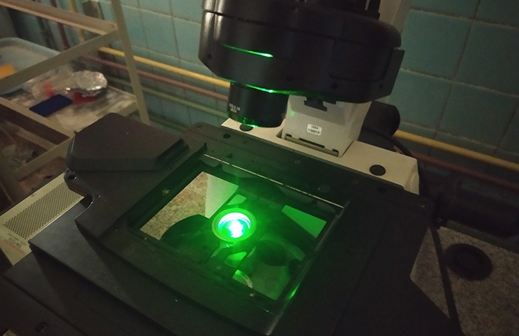 Микроскоп для эксперимента.