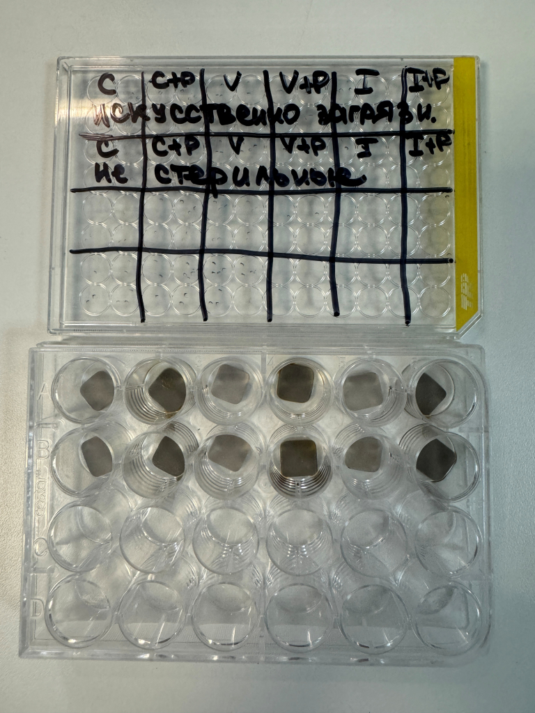 Прототипы умных имплантатов после теста на стерильность