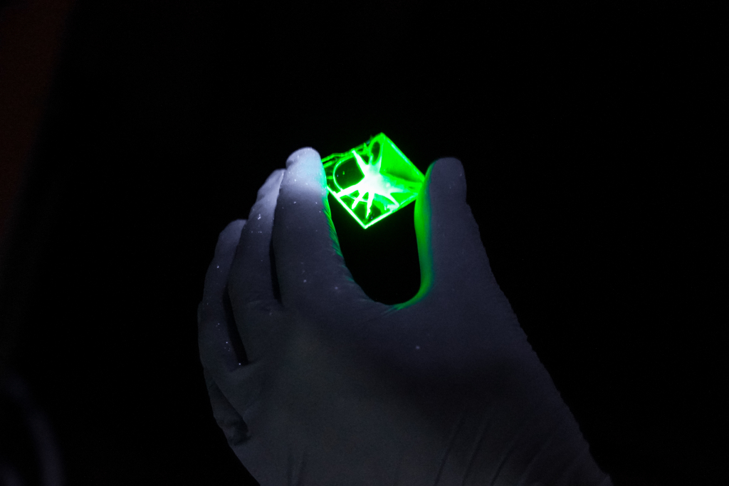 Химики синтезировали долгоживущие светящиеся нанокристаллы в защитной оболочке