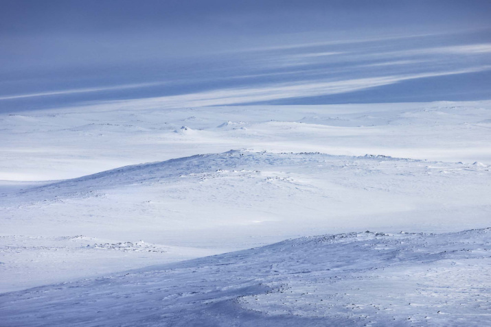 Арктическая пустыня острова Земля Александры. Фото: Пётр Ушанов.