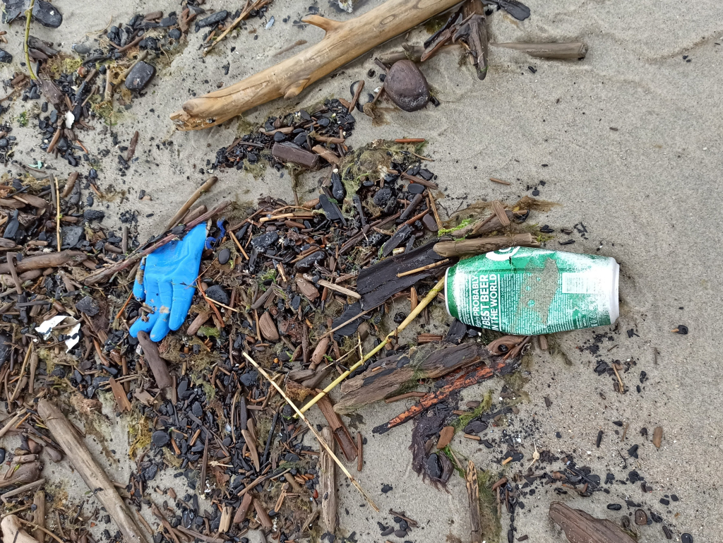 Обнаруженный в ходе исследования мусор