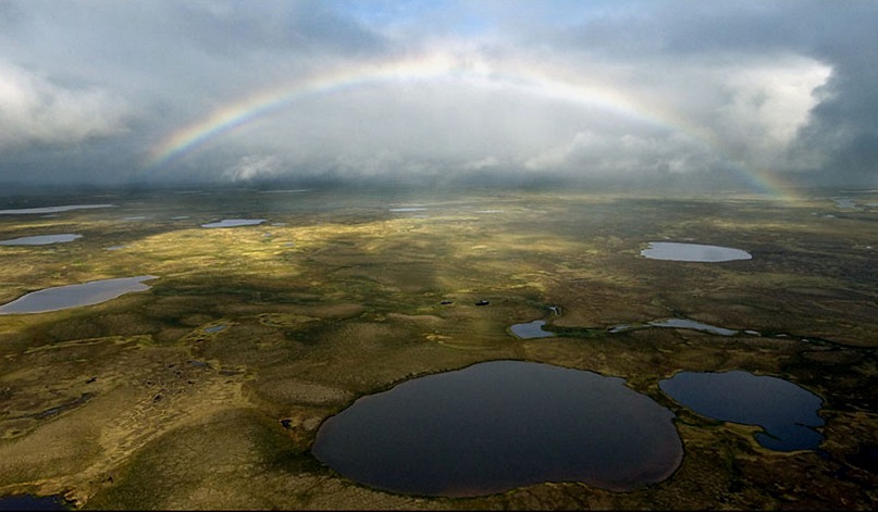 Исследование показало основной источник ртути в арктических озерах России