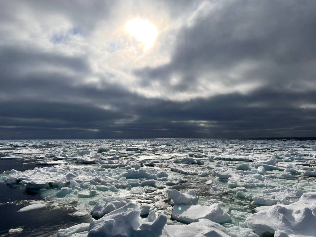 Морской лед в прикромочной зоне. Автор фото: Татьяна Максимовская.