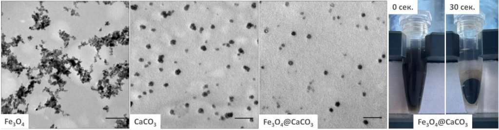 Микроскопические фотографии наночастиц смешанного оксида железа, карбоната кальция и их наногибрида, а также снимок наноматериалов на магнитном штативе. Изображение предоставлено Викторией Поповой.