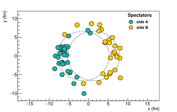 Нуклоны-спектаторы, которые предлагается регистрировать для оценки параметров поверхностного нейтронного слоя в сталкивающихся ядрах